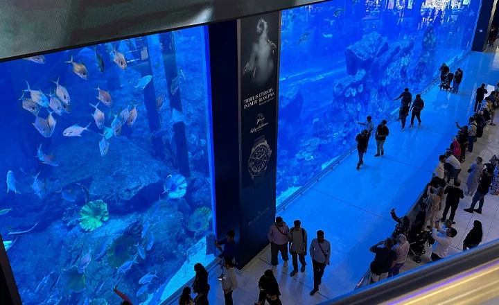 dubai-aquarium