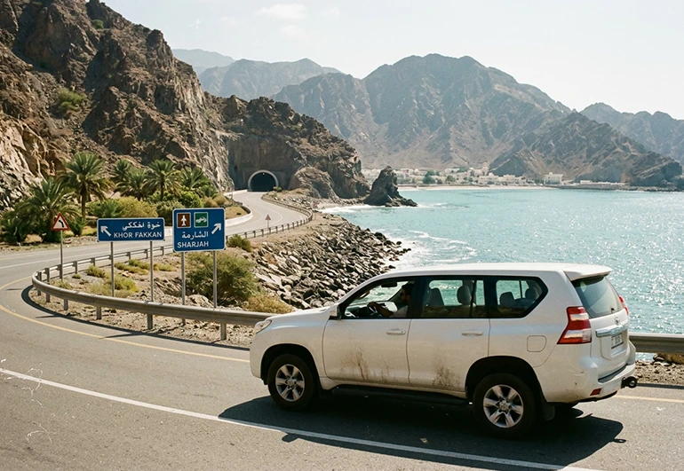  Liwa Oasis (Empty Quarter Desert) trip by car rental