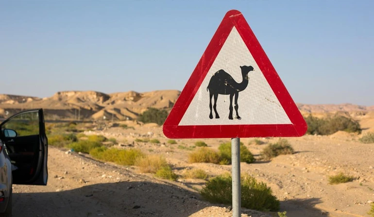 Animal Crossing sign in Dubai