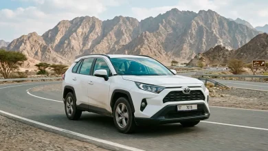 Dubai to Hatta by Rental Car